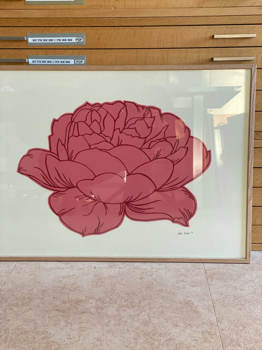 ‘Peony in bloom’ 50x70